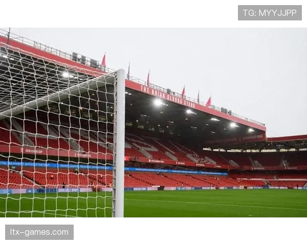 威尔士球迷热情高涨，主场氛围持续提升