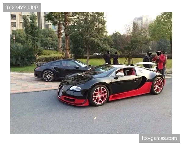 富里睡醒发现豪宅又多了一辆布加迪